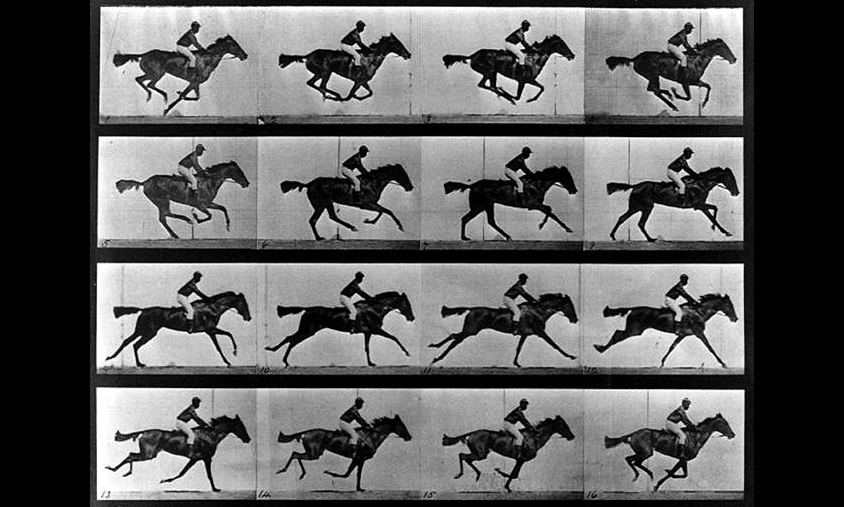 Secuencia Fotográfica caballo 